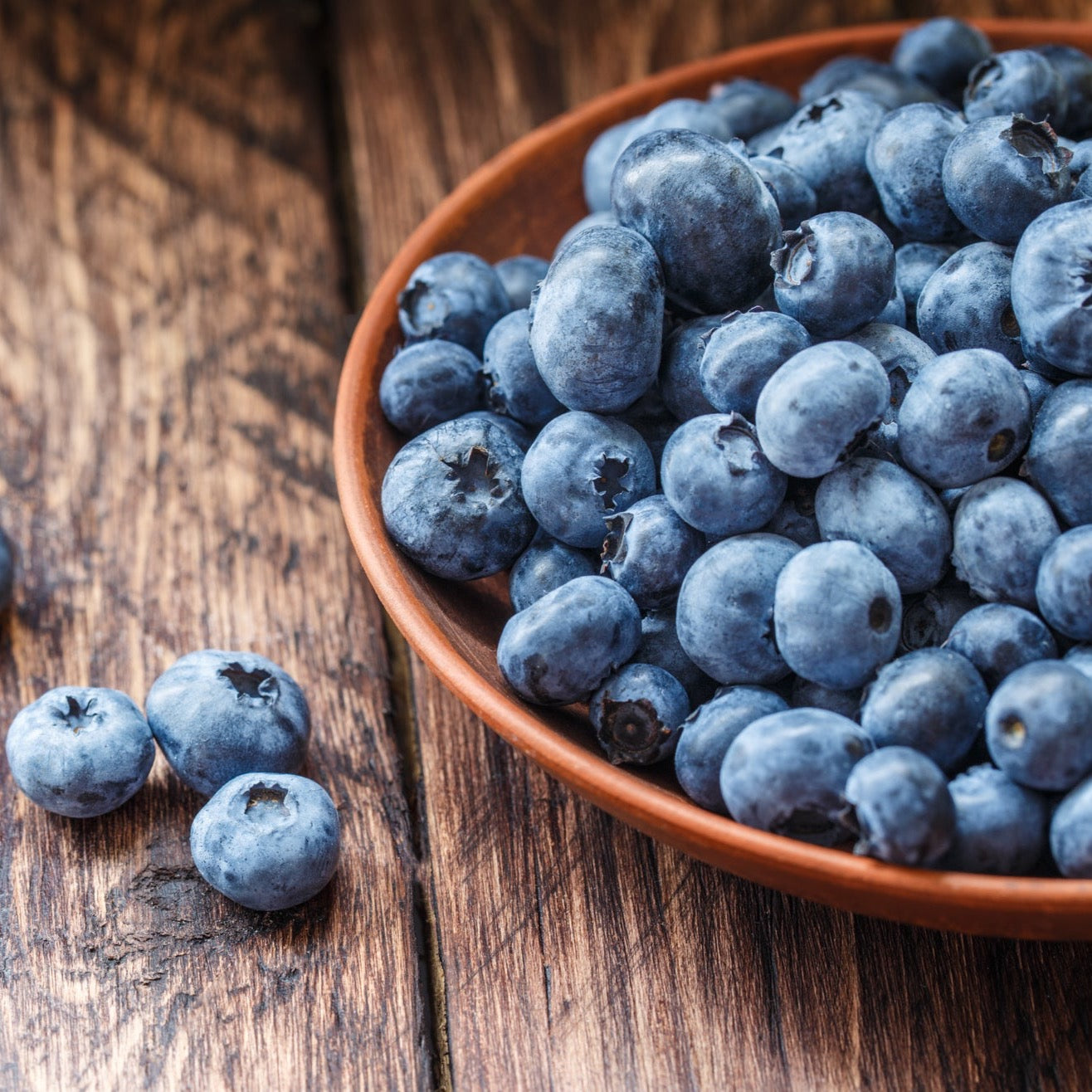 FARM FRESH MICHIGAN ELLIOT BLUEBERRIES, IPM, 10 LB Box